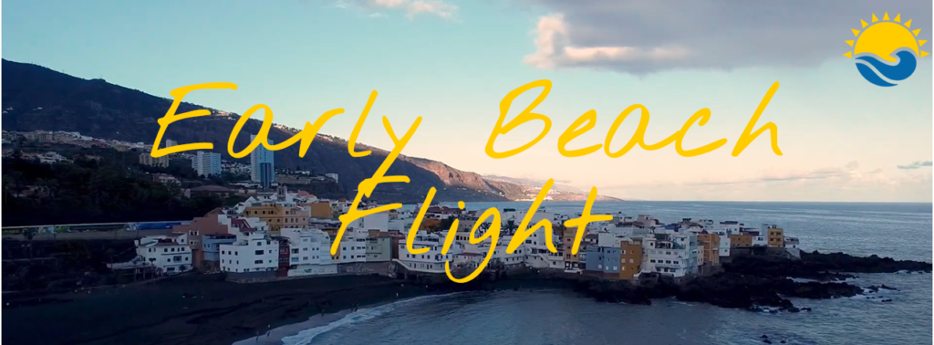 Early Morning Beach Flight