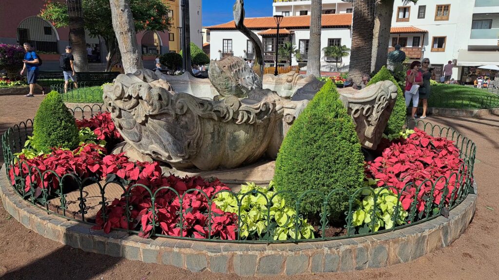 Puerto's Annual Poinsettia Display