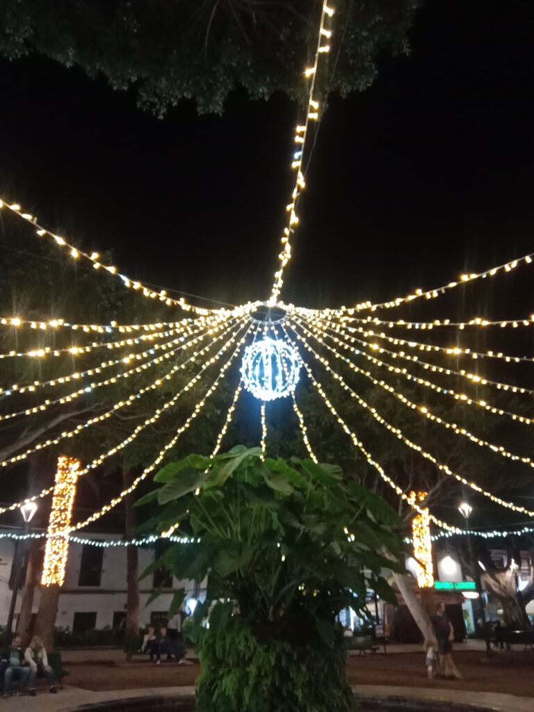 Christmas Lights Switch On