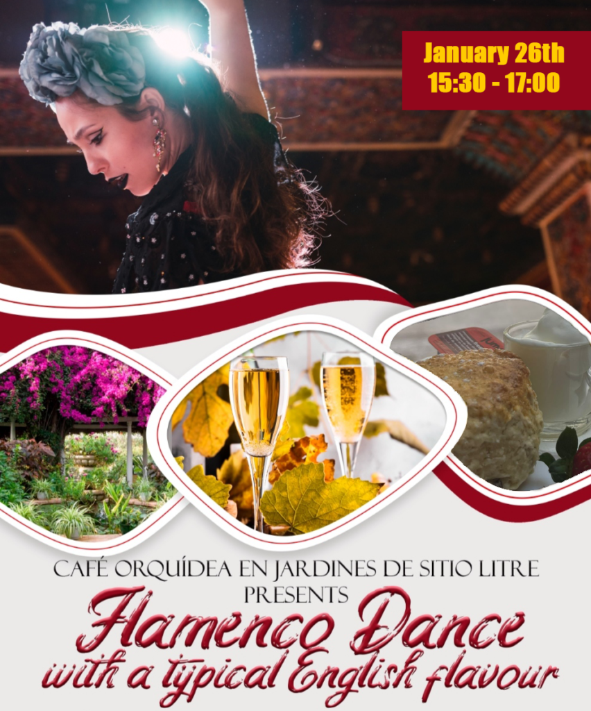 Flamenco in Jardines de Sitio Litre