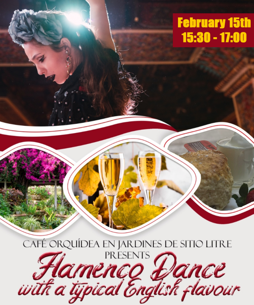 February Flamenco at The Orchid Gardens