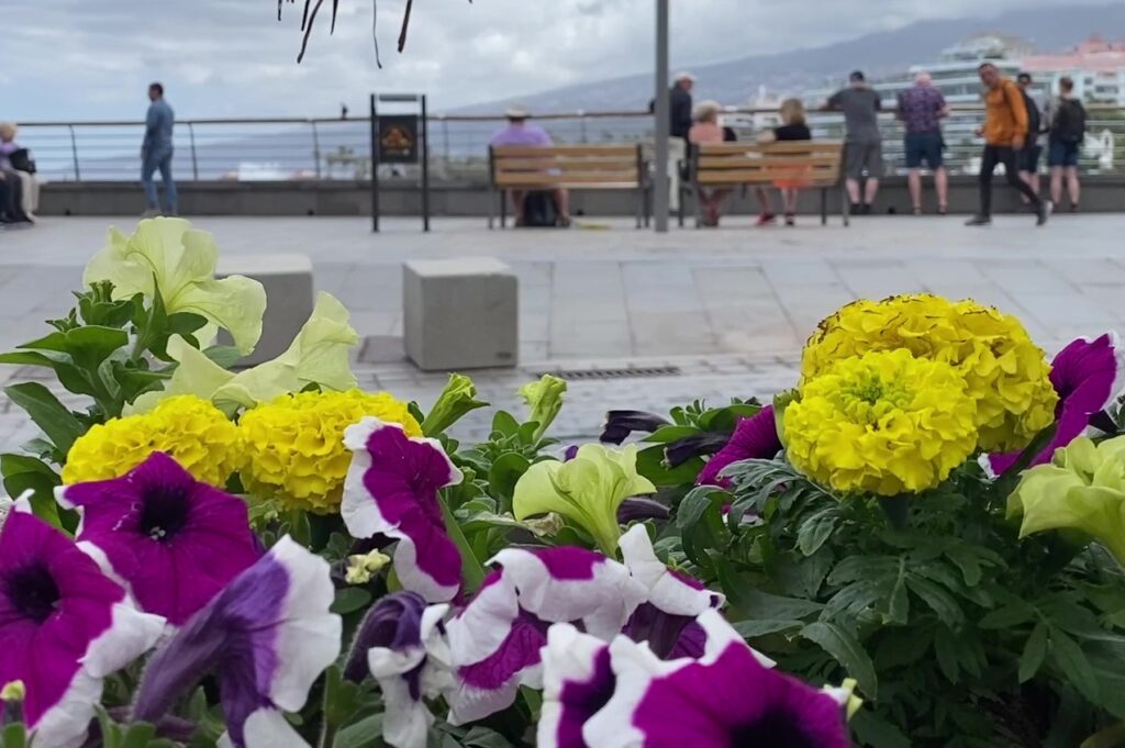 A walk around Puerto on Maundy Thursday