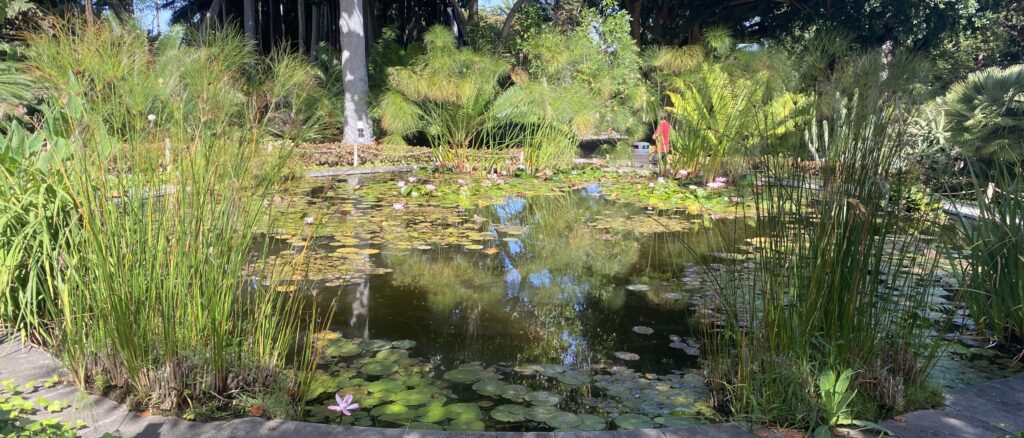 Jardín Botánico