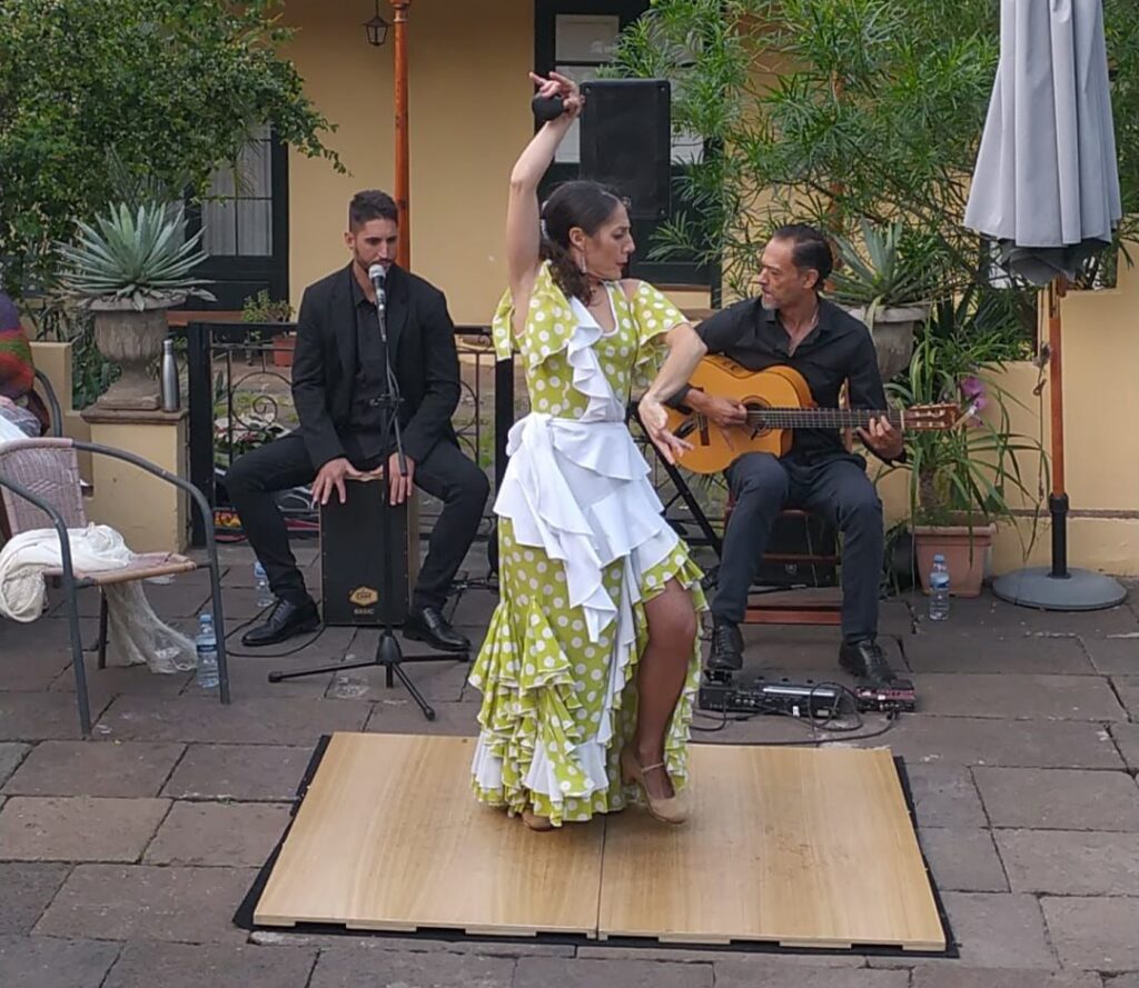 Flamenco at The Orchid Gardens 3rd April