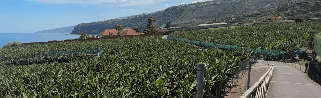 Walking to Playa el Bollullo from La Paz