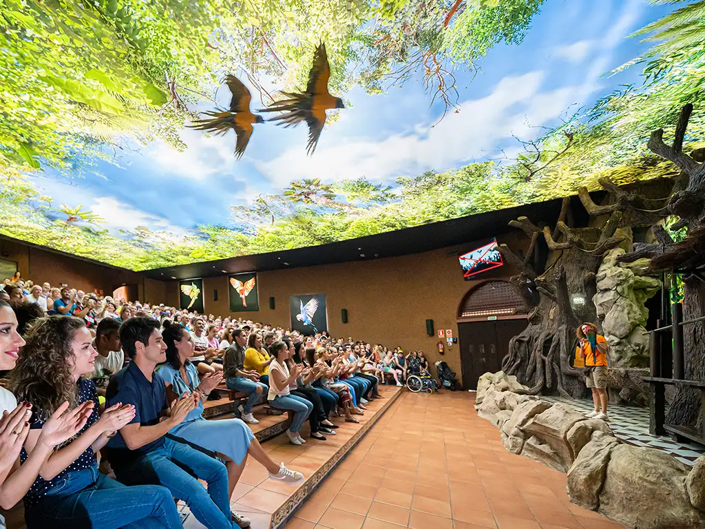 Loro Parque Parrot Show in Puerto de la Cruz