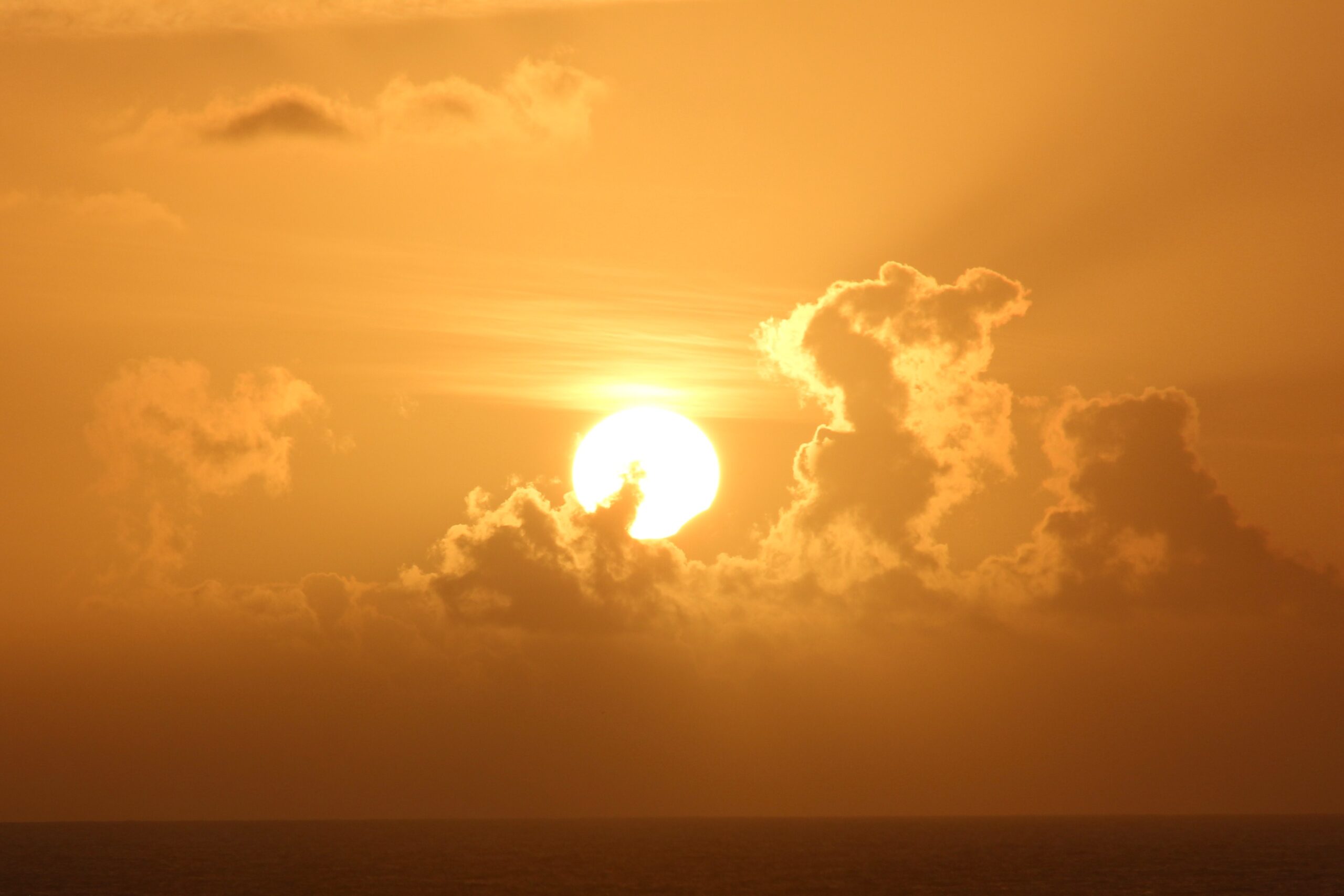A partial Solar Eclipse taken from PDLC in 2024