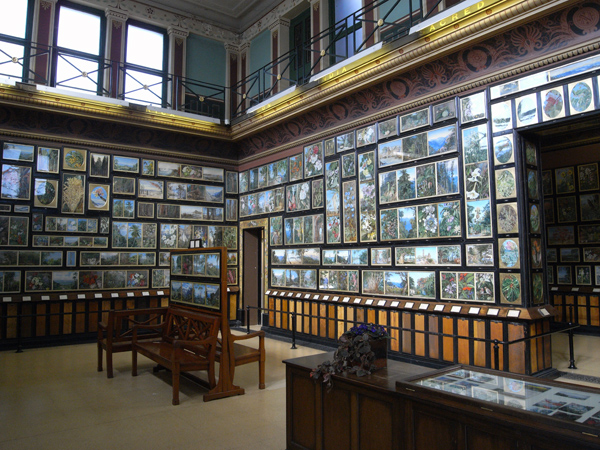 Marianne North in Puerto de la Cruz: The Garden She Painted