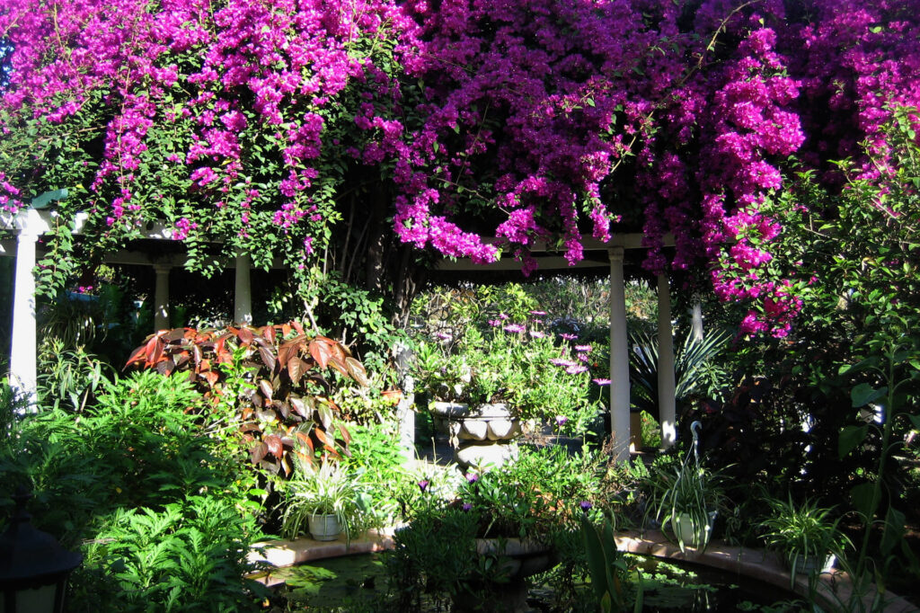 Sitio Litre Orchid Garden: Ponds, Lawns, History and Café Orquídea