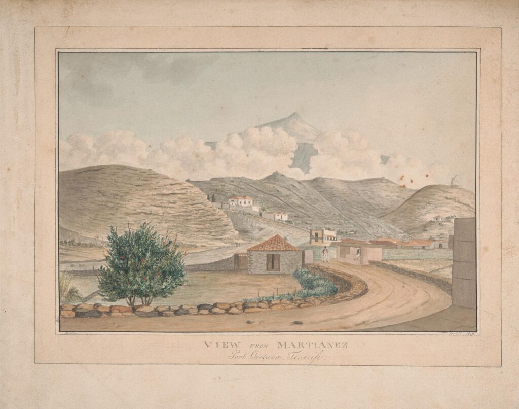 Alfred Diston: The Artist and Naturalist Who Made Puerto de la Cruz His Home