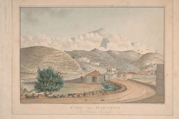 View from Martiánez, Port Orotava, 1819. Alfred Diston; Yale Center for British Art. CC0.
