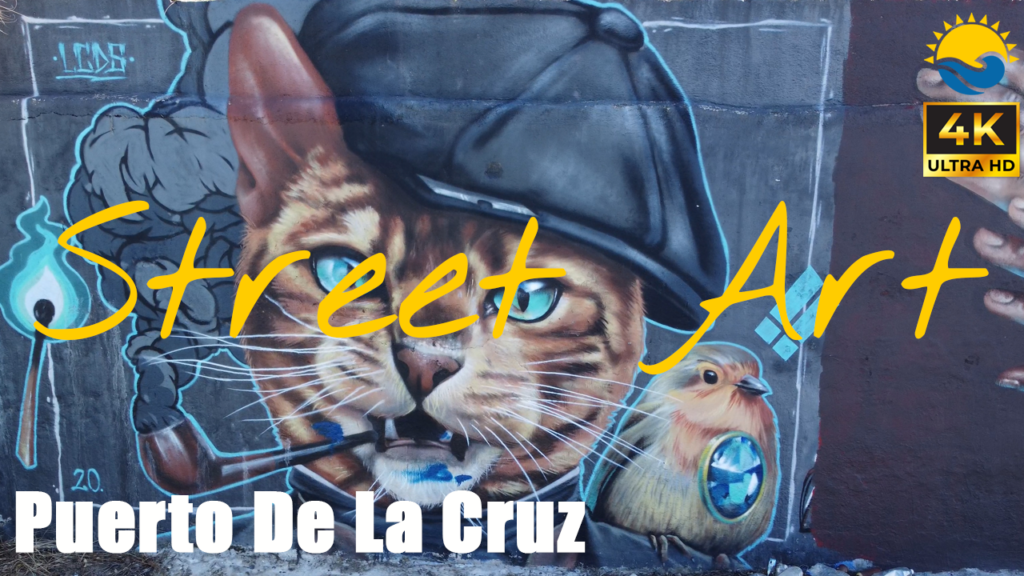 Original PuertoDeLaCruz.info street-art video thumbnail showing a painted cat wearing a cap