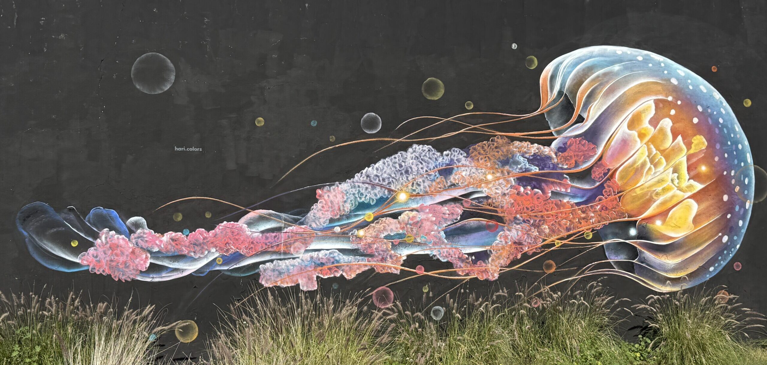 Colourful jellyfish mural at the Puerto de la Cruz street-art hotspot